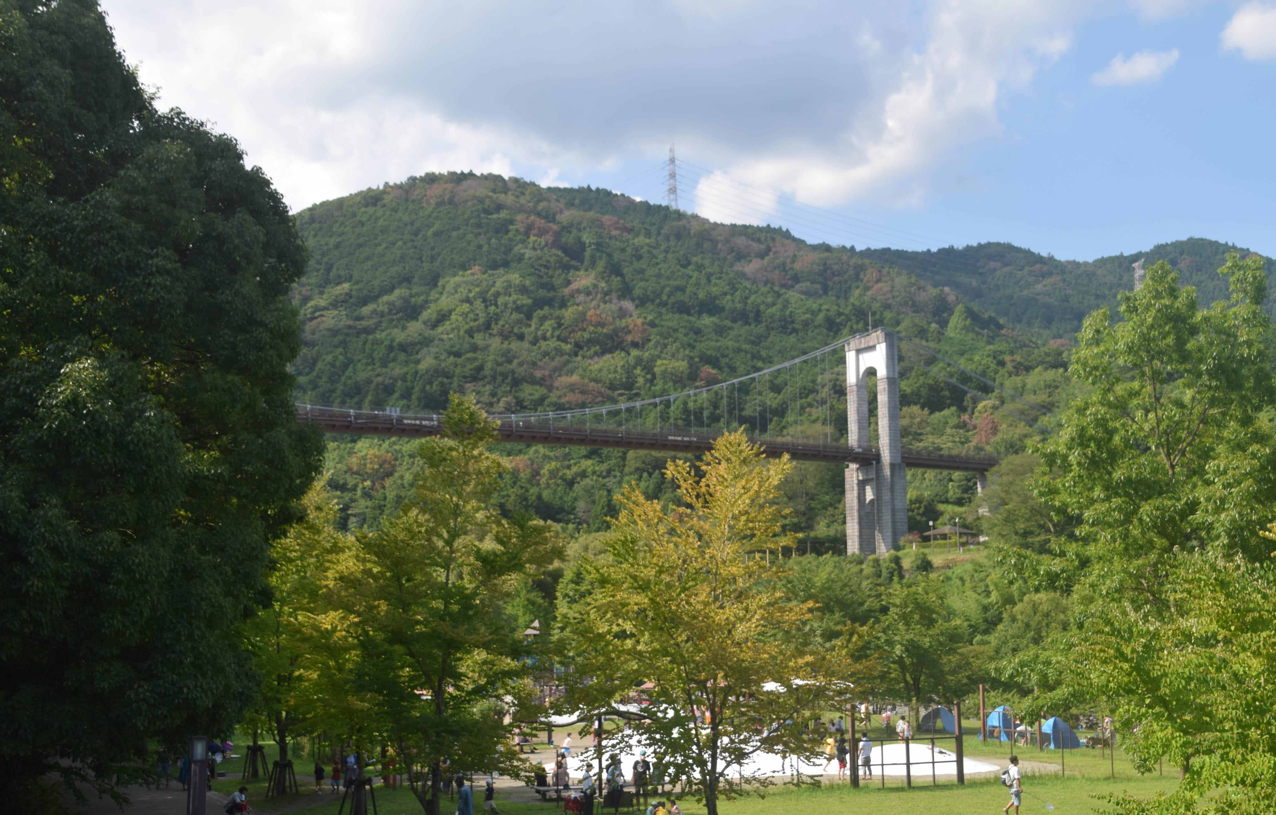 🏞️ 가나가와 현립 하다노토가와 공원 (카나가와켄리츠 하다노 토가와 코엔) 이미지 6